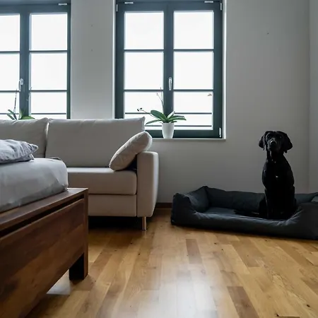 Koenig Albert Residenz Appartement Leipzig